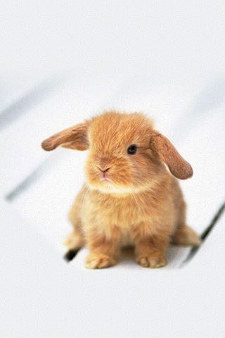 Дарья Старовойтова