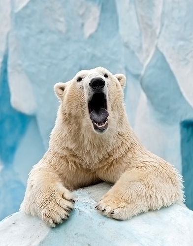 Михаил Минин