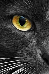 Анастасия Фролова