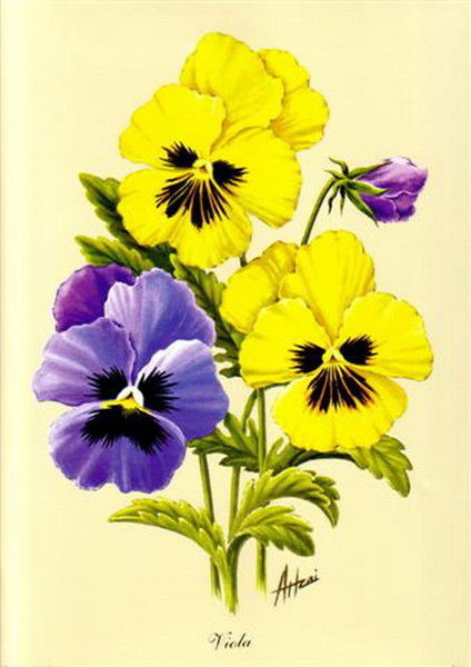 Татьяна Плотникова