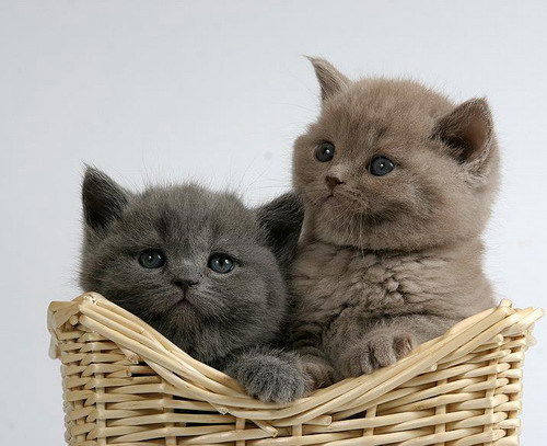 Ирина Буторева