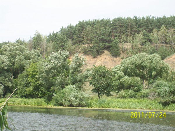 Дмитрий Иванов