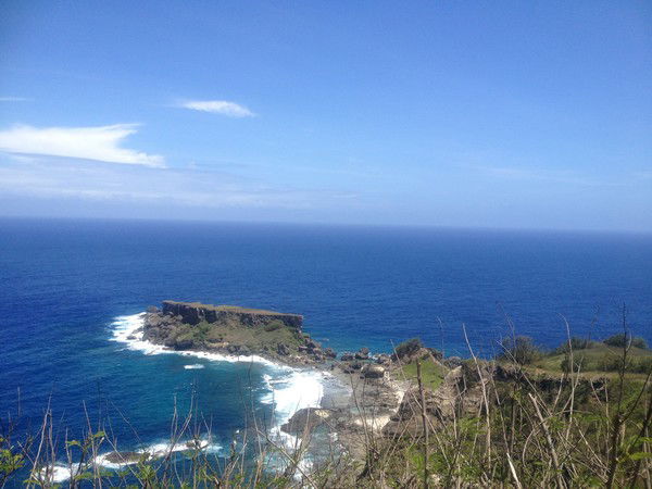 Анна Евстафьева