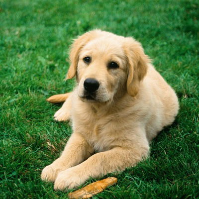 Татьяна Большова