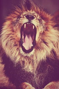 Валентин Волохов