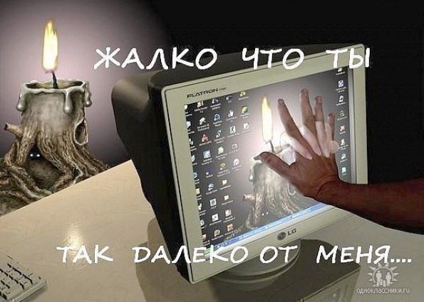 Алексей Радецкий