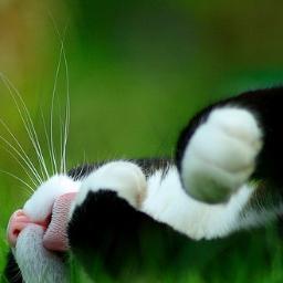 Марина Кораблева