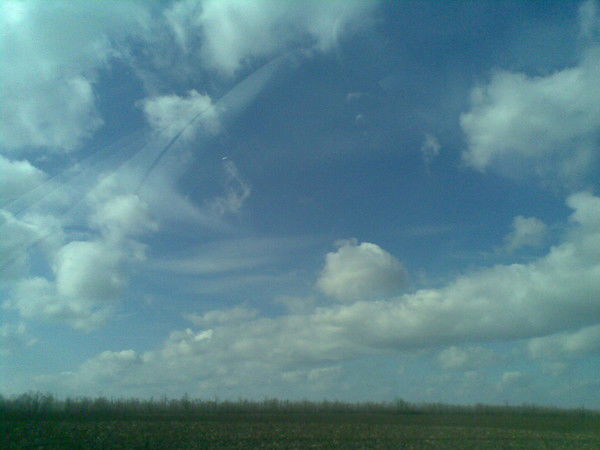 Сергей Пигунов