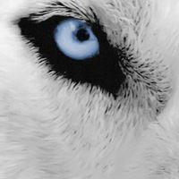 Игорь Балюра