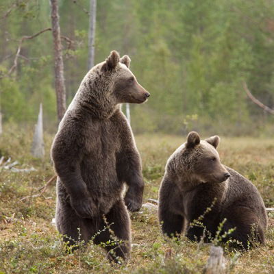 Данил Филатов