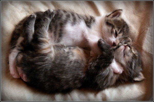 Андрей Юрин