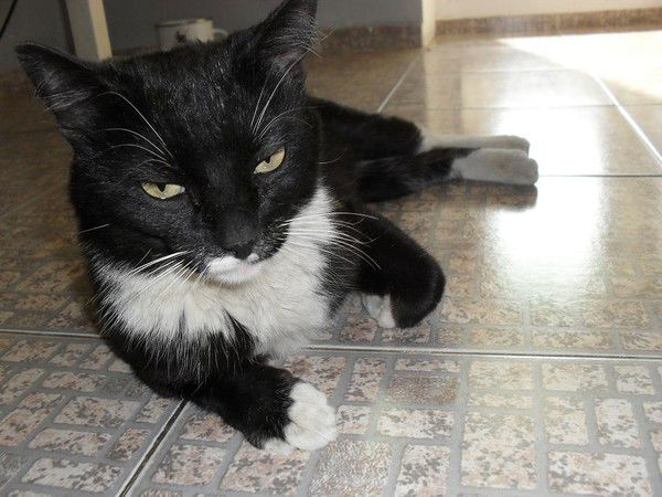 Сергей Дербенёв