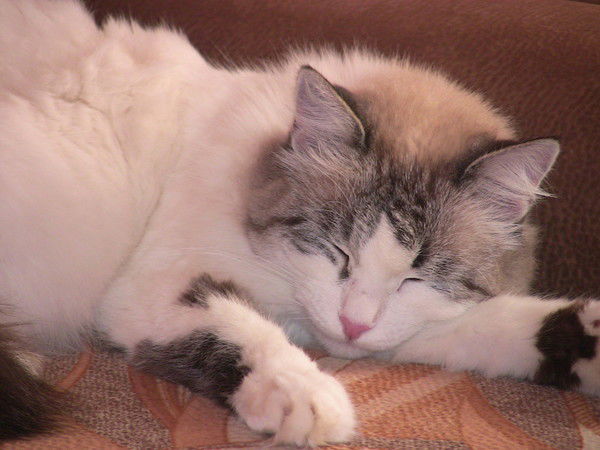 Юлия Филиппова