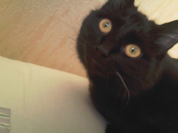 Ольга Пономарева