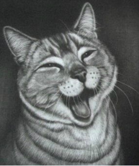 Макс Показаньев