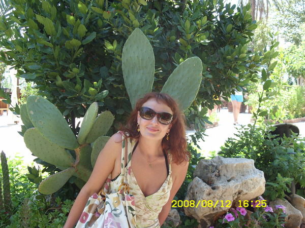 Неизвестно Неизвестно