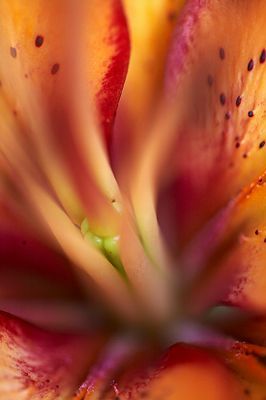 Наталья Соловьёва