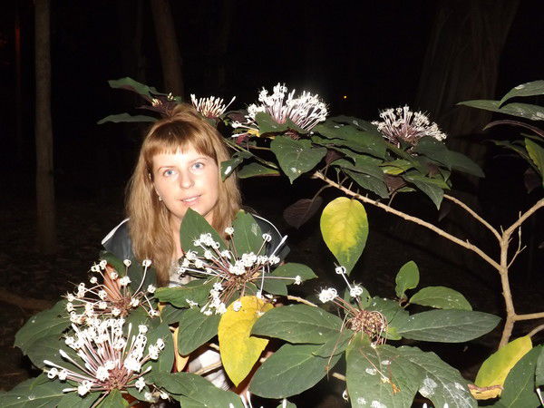 Елена Дуткина