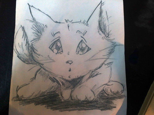 Светланка Волк