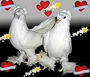 Галина Давыдова