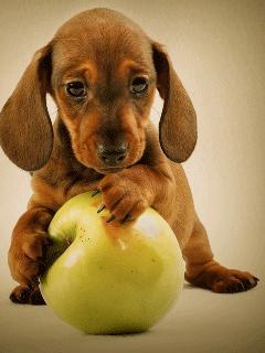 Людмила *****