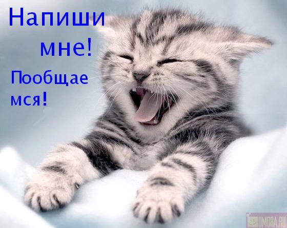 Эльчин Гасанов