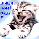 Эльчин Гасанов