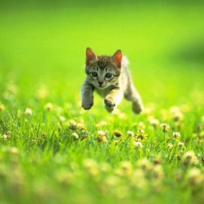 Валера Алексеев