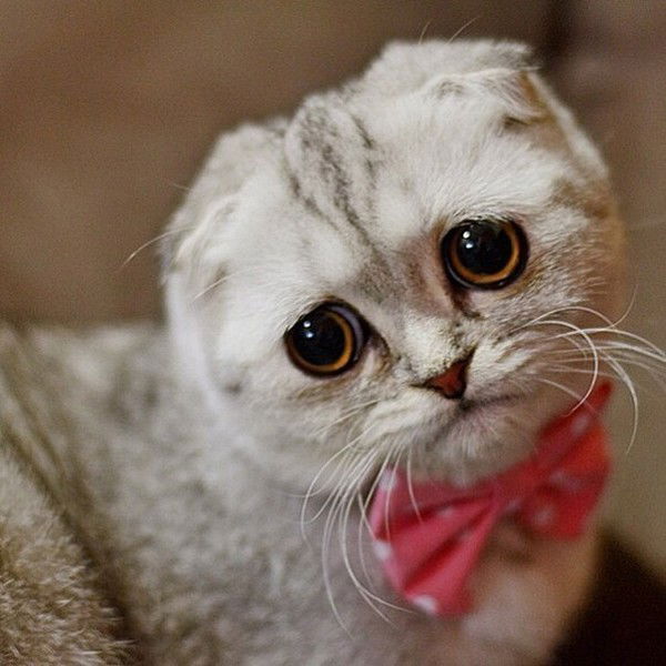 Наталья Куницына