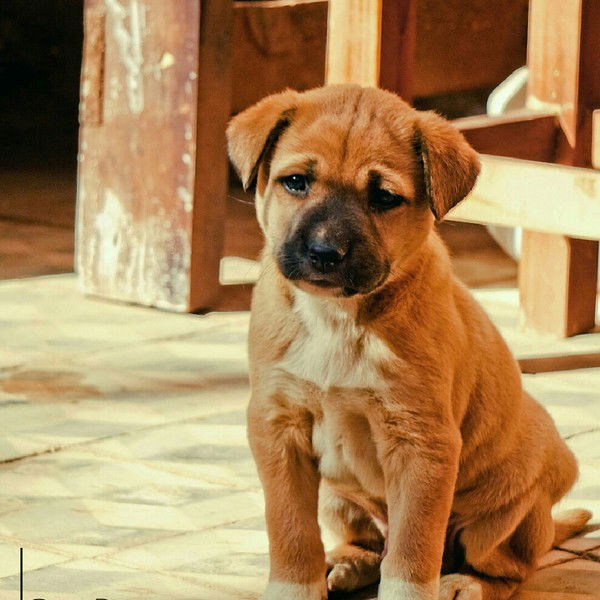 Анна Васильева