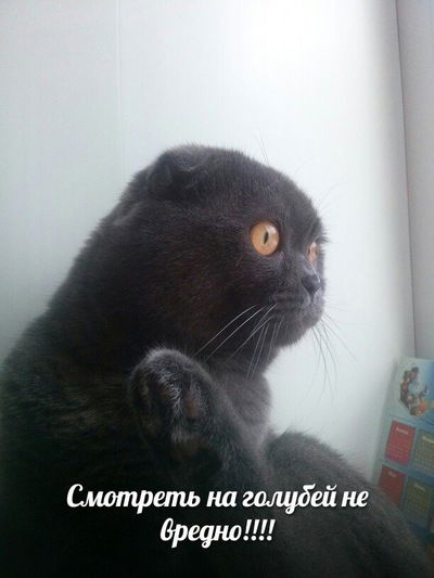 Сабина Салимова