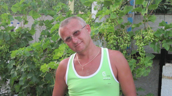 Владимир Новик