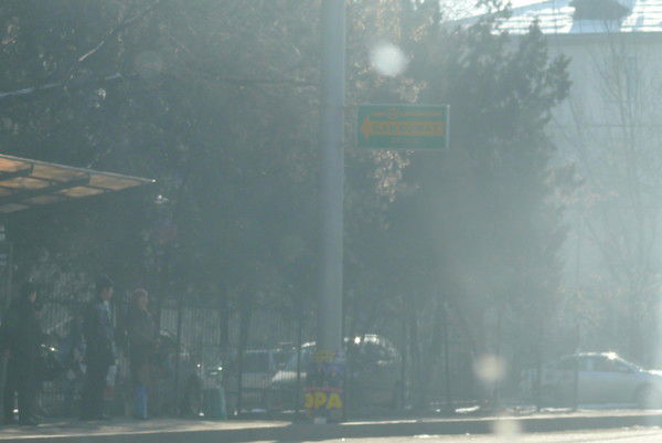 Дана Майкупова