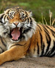 Евгений Рублёв