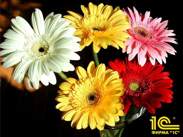 Татьяна Бирюкова