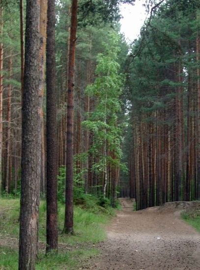 Валентина Алексеева