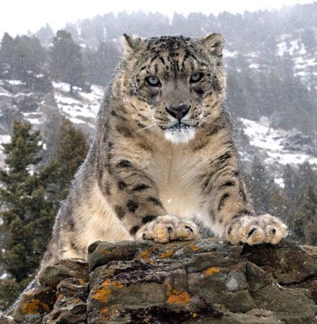 Олег Валерьевич