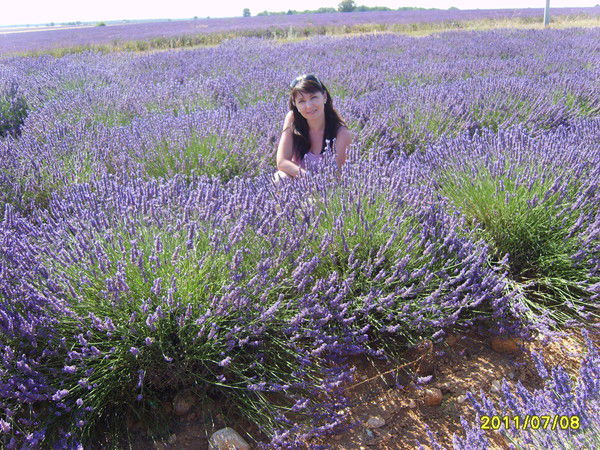 Наталья Плотникова