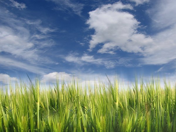 Вера Федоровна Ефимова