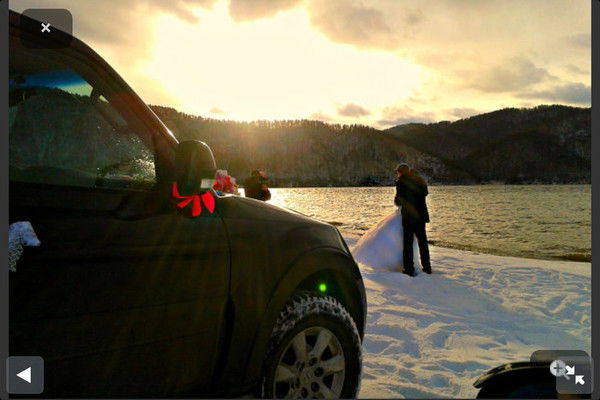 Елена Сибисова (Амельченко)