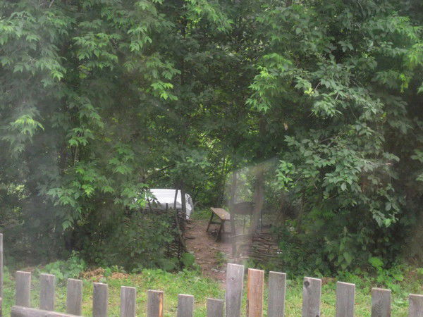 Наталья Котохина