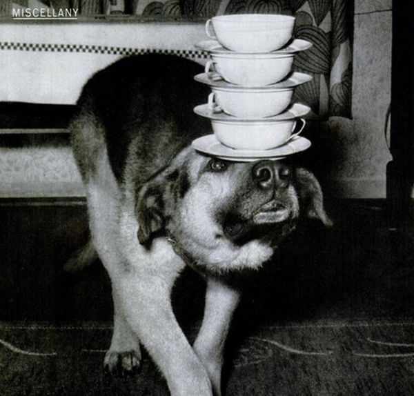 Екатерина Бойко