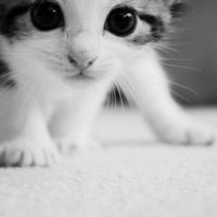 Айнура Мурзаева