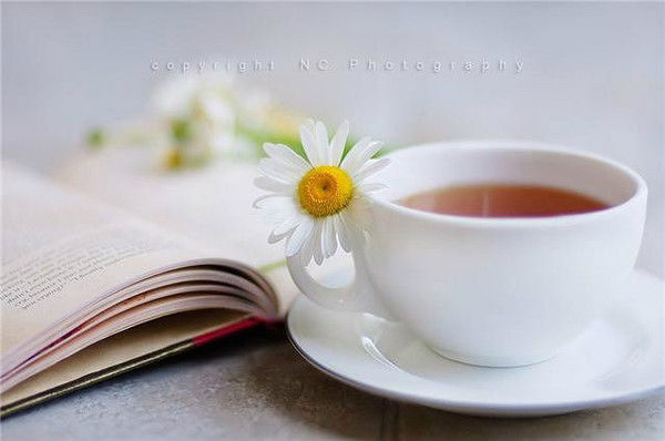 Аня Виноградова