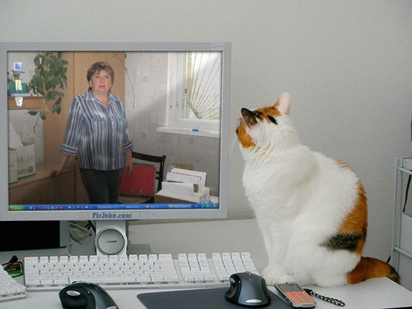 Татьяна Таньча