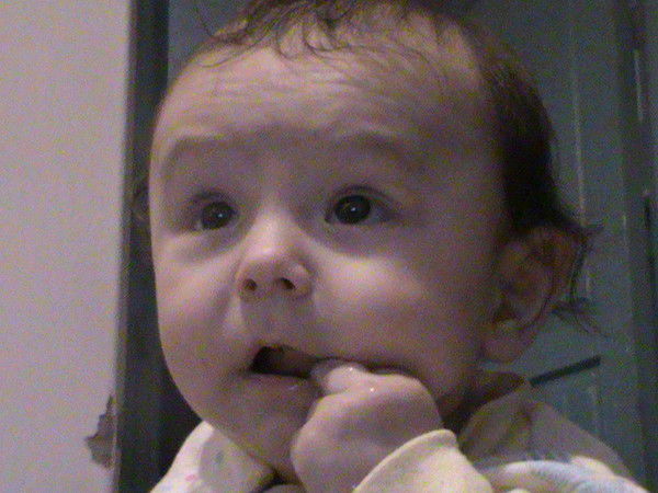 Виктор Конюхов