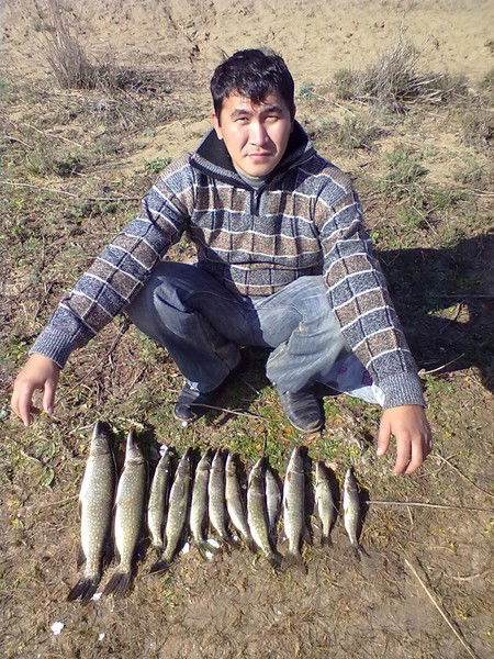 Жаксылык Киреев