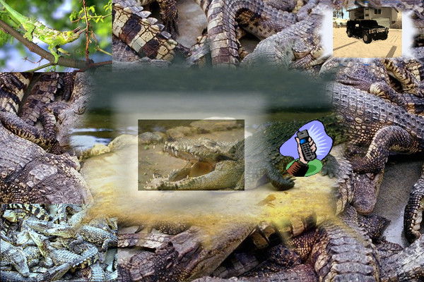 Михаил Михаил