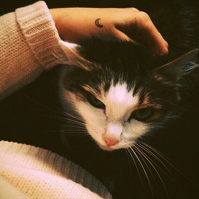 Лиза Васильева