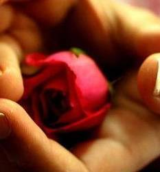 Ринат Абдрахимов